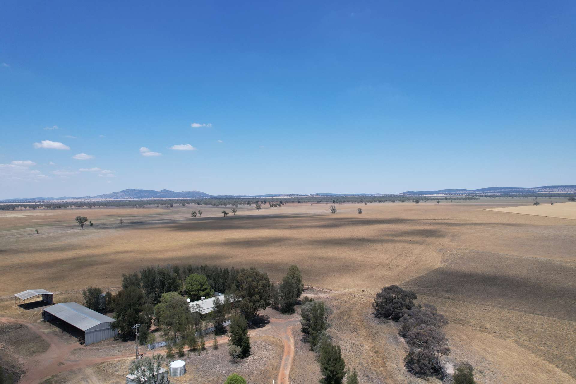 94 Gullifers Road, Forbes For Sale by Farmbuy.com - image 3