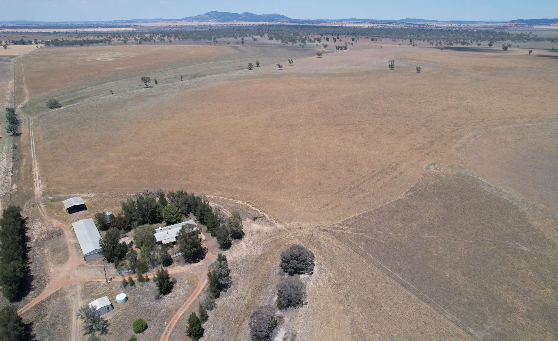 94 Gullifers Road, Forbes For Sale by Farmbuy.com - image 12