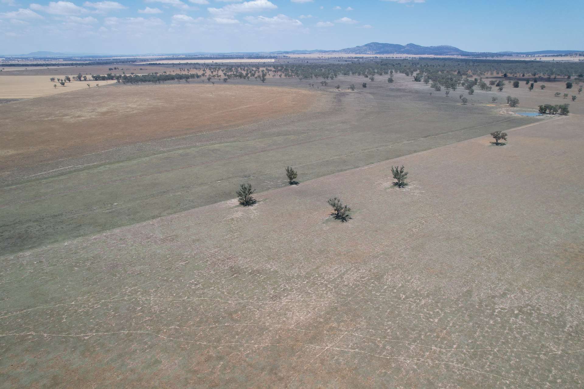 94 Gullifers Road, Forbes For Sale by Farmbuy.com - image 9