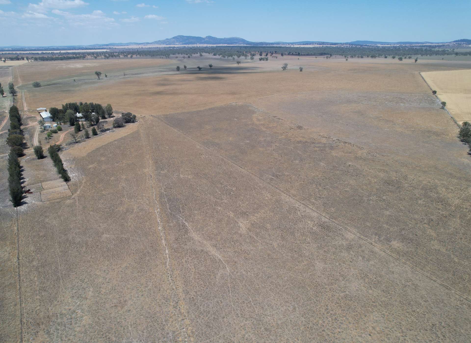 94 Gullifers Road, Forbes For Sale by Farmbuy.com - image 5