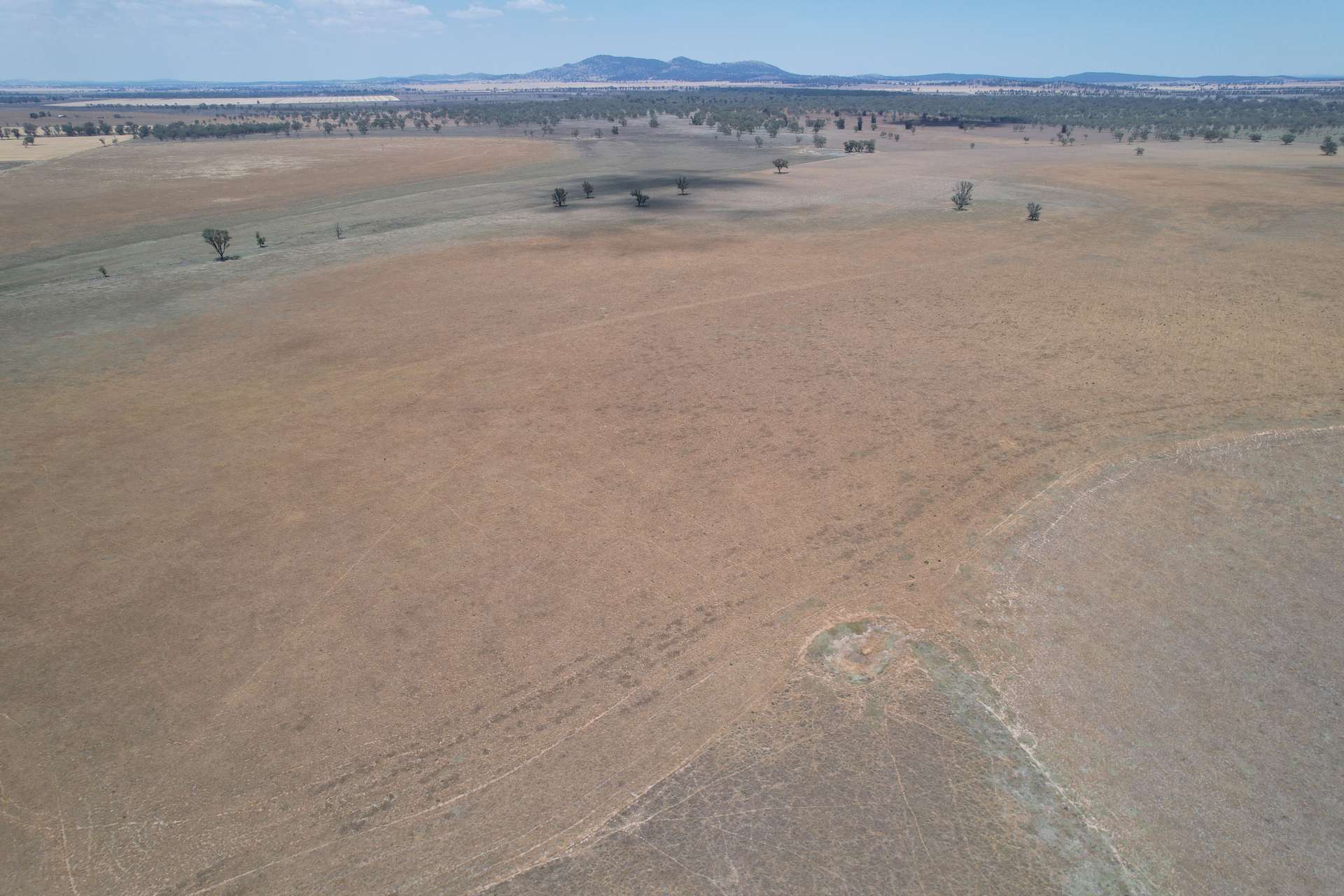 94 Gullifers Road, Forbes For Sale by Farmbuy.com - image 6
