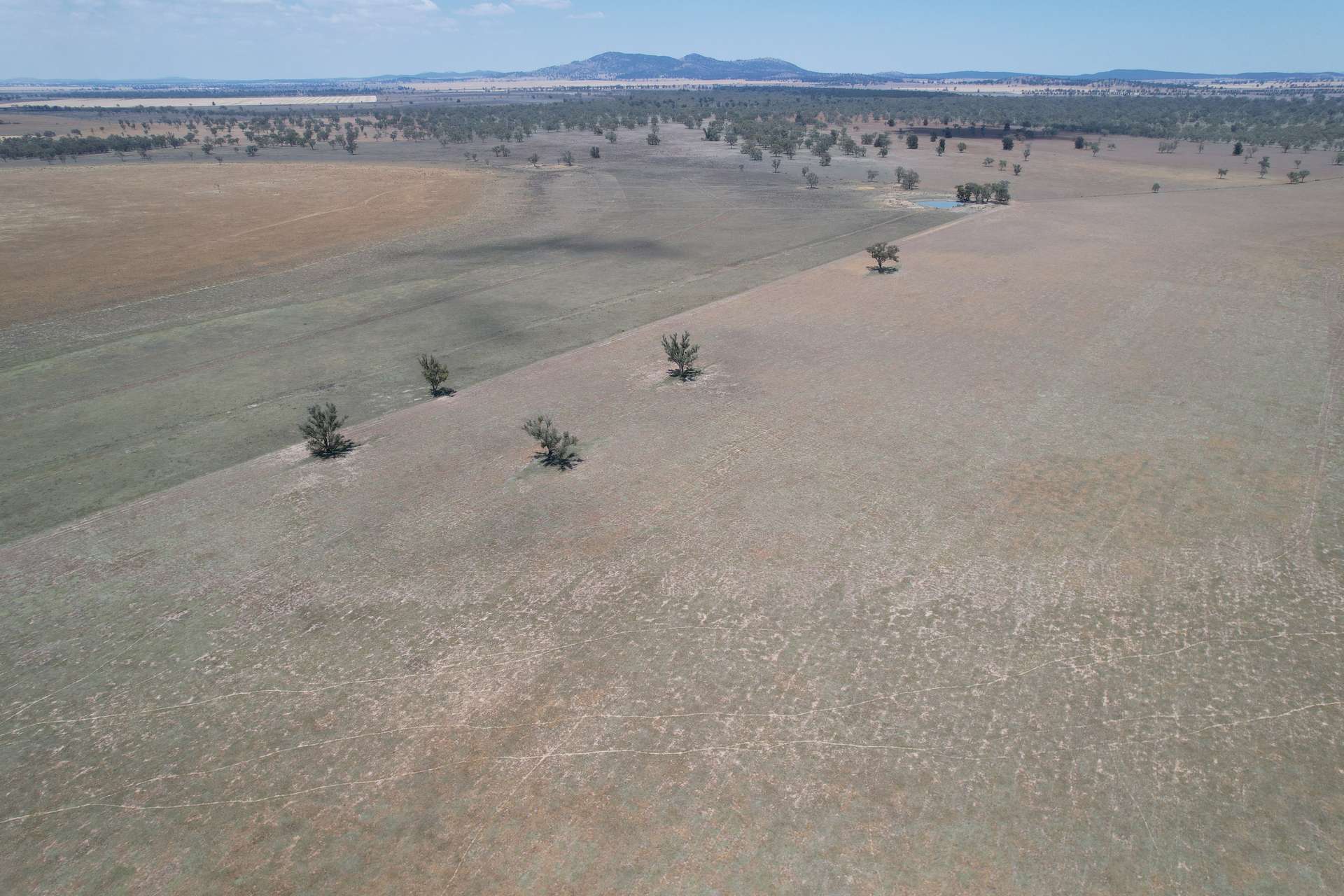 94 Gullifers Road, Forbes For Sale by Farmbuy.com - image 7
