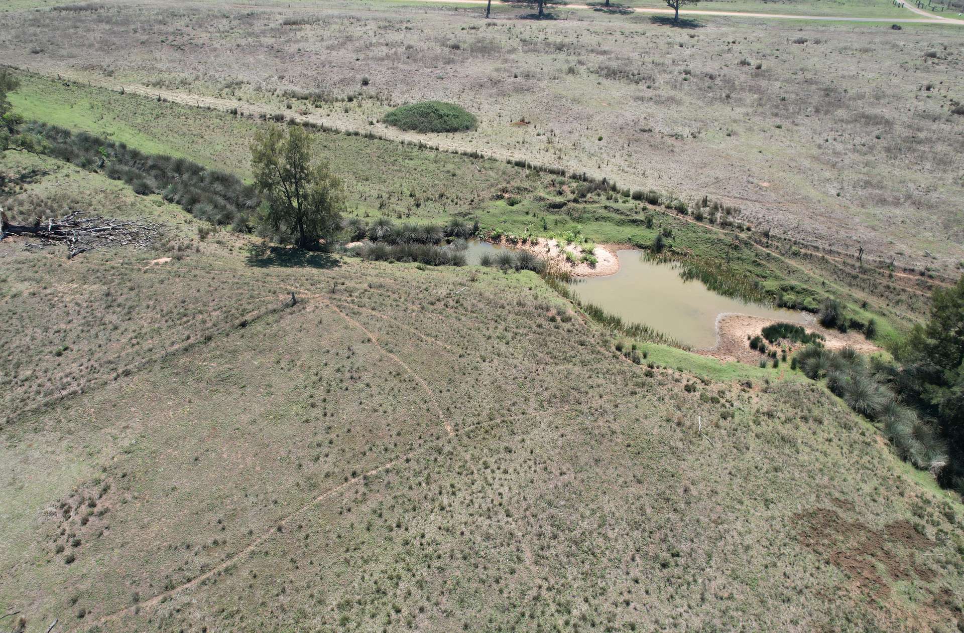 1766 FLAGGS ROAD, Gungal For Sale by Farmbuy.com - image 17