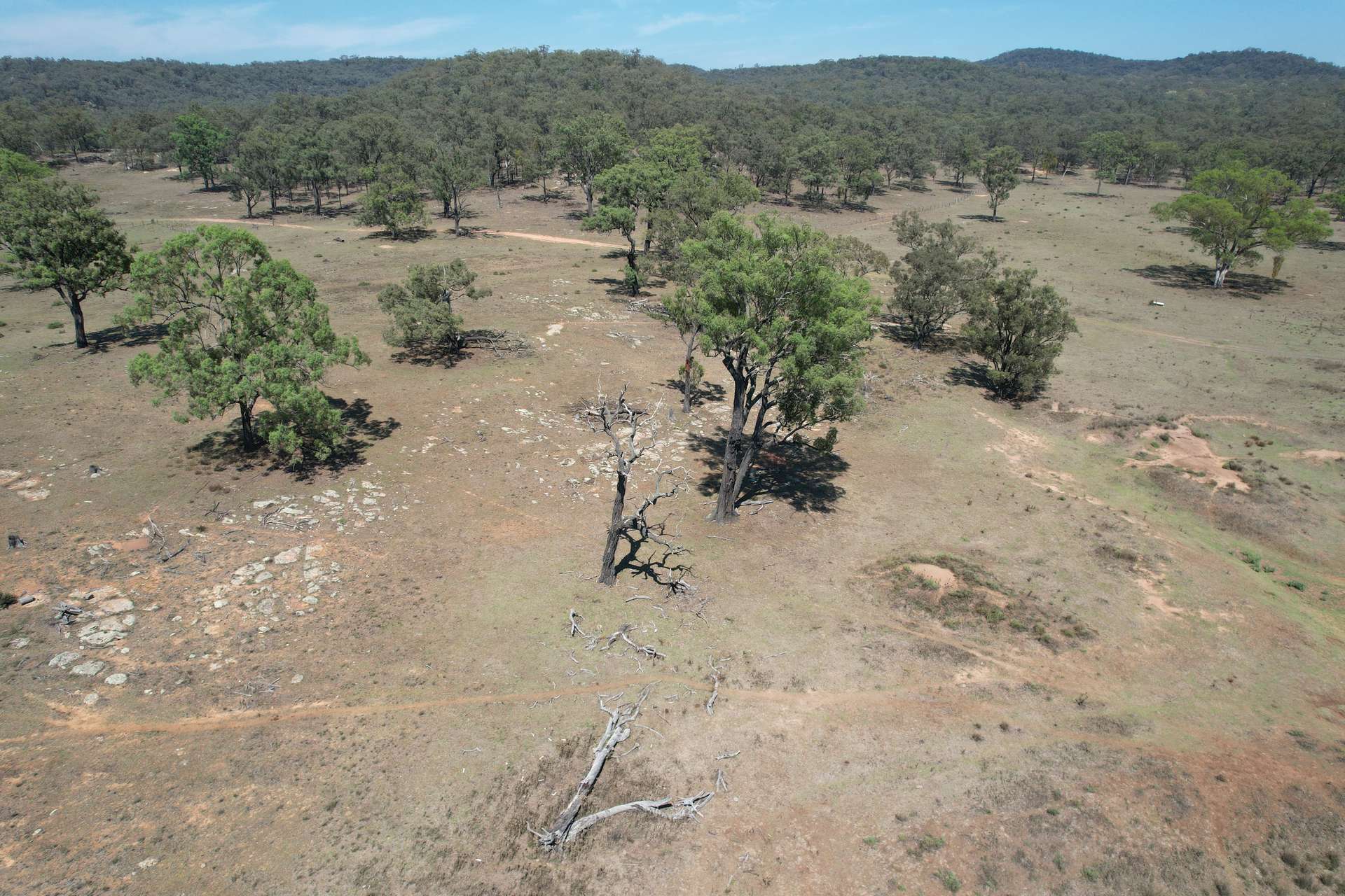 1766 FLAGGS ROAD, Gungal For Sale by Farmbuy.com - image 8
