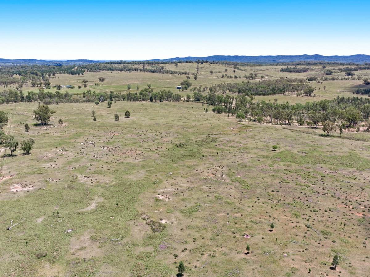 3167 Stanthorpe Inglewood Road, Stanthorpe For Sale by Farmbuy.com - image 22