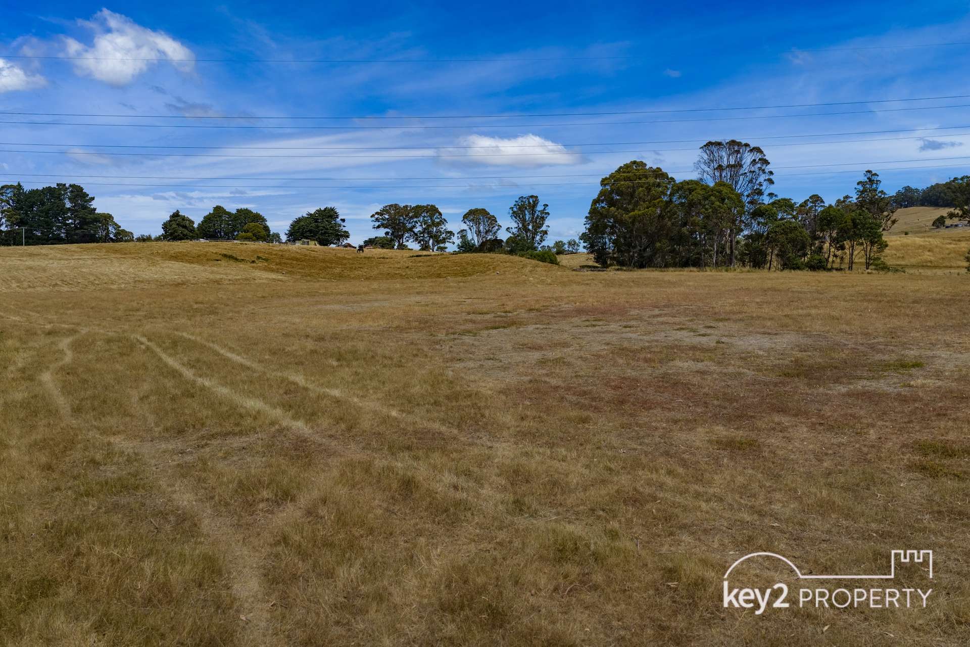 7541 Bass Highway, Sassafras For Sale by Farmbuy.com - image 17