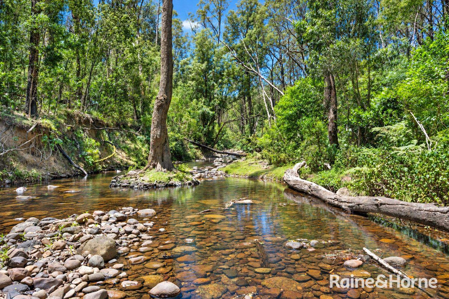 86/87 Abernethys Road, Budgong For Sale by Farmbuy.com - image 7