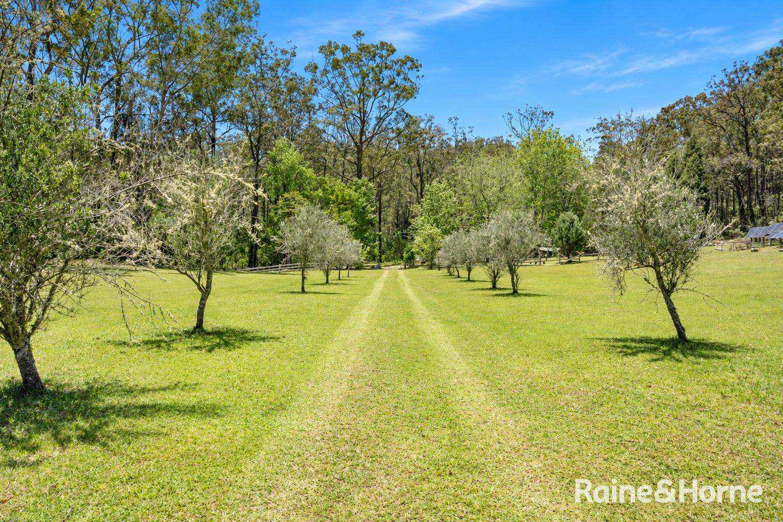 86/87 Abernethys Road, Budgong For Sale by Farmbuy.com - image 4