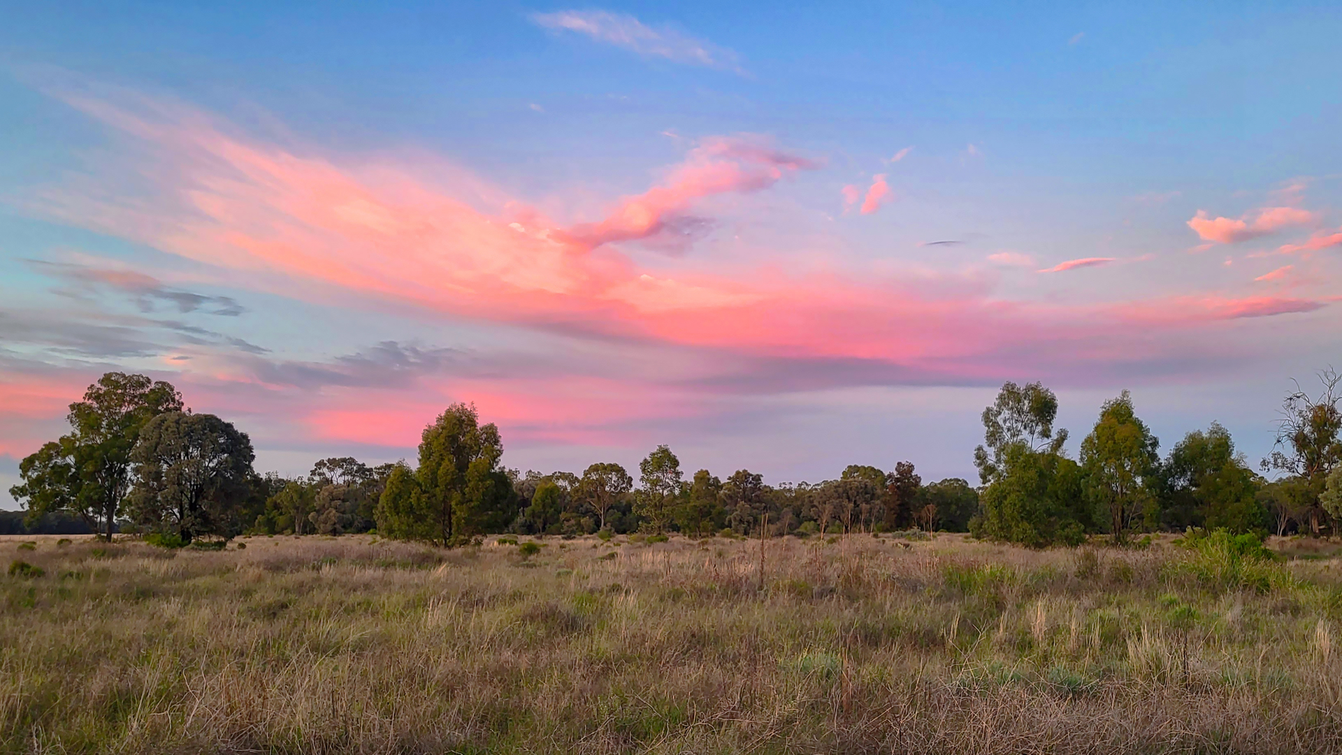 296 Forest Way, Wee Waa For Sale by Farmbuy.com - image 27