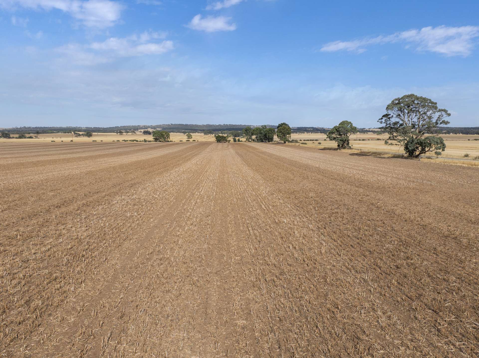 'Murrays' Orana Road, Marrabel Sold by Farmbuy.com - image 5