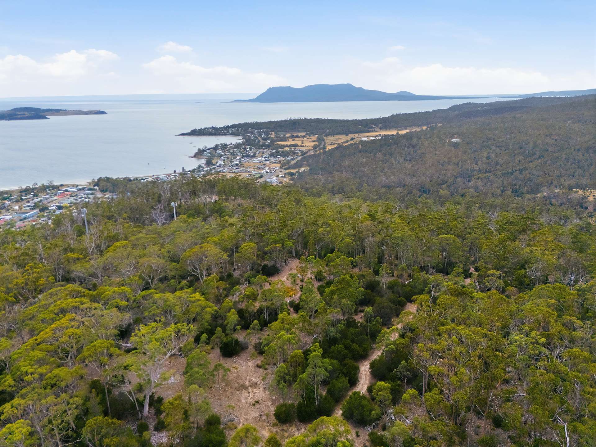 1 Mary Street, Orford For Sale by Farmbuy.com - image 4