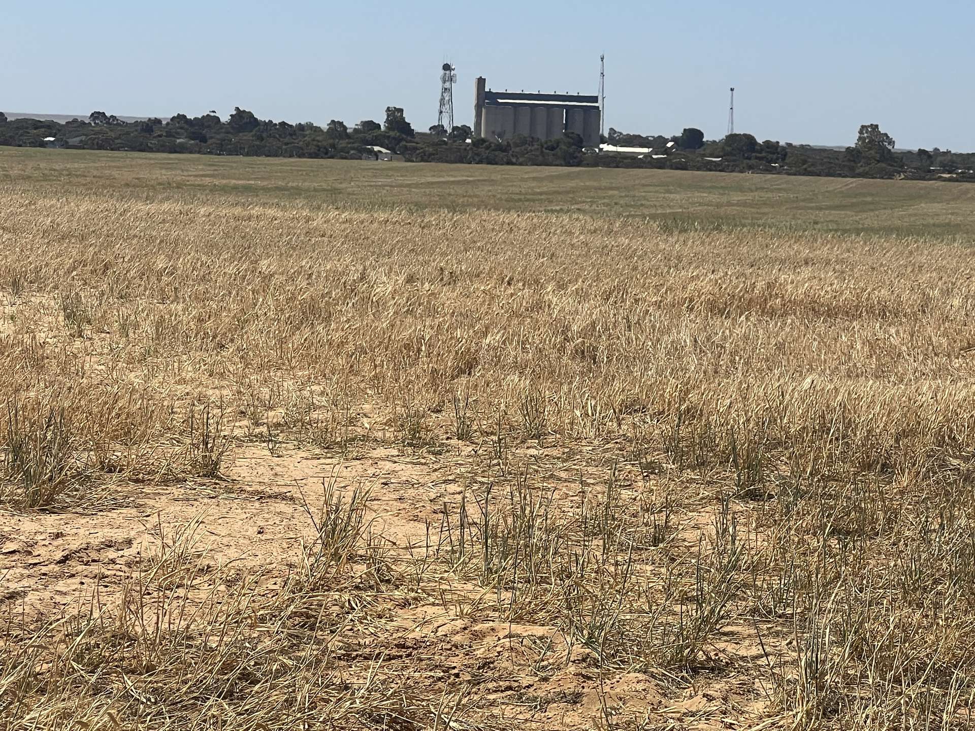 183 Kulkawurra Road, Karoonda For Sale by Farmbuy.com - image 20