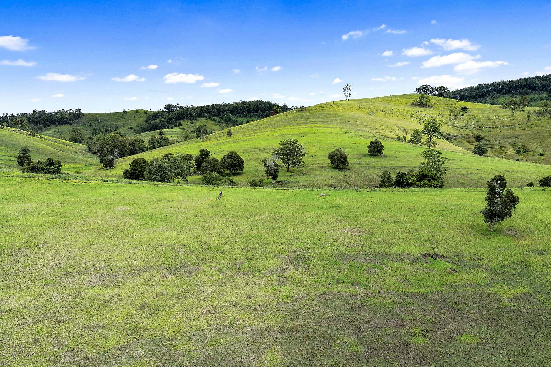 Lot 2 2135 The Bucketts Way, Wards River Sold by Farmbuy.com - image 29