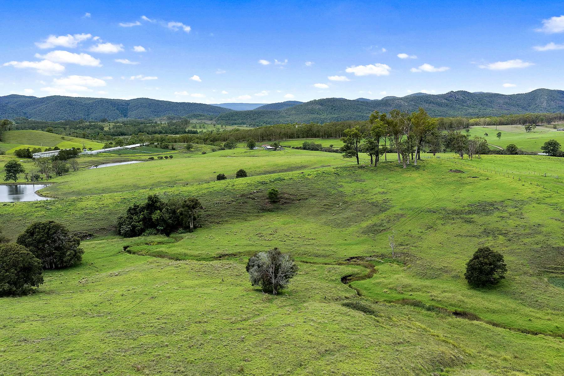 Lot 2 2135 The Bucketts Way, Wards River Sold by Farmbuy.com - image 21