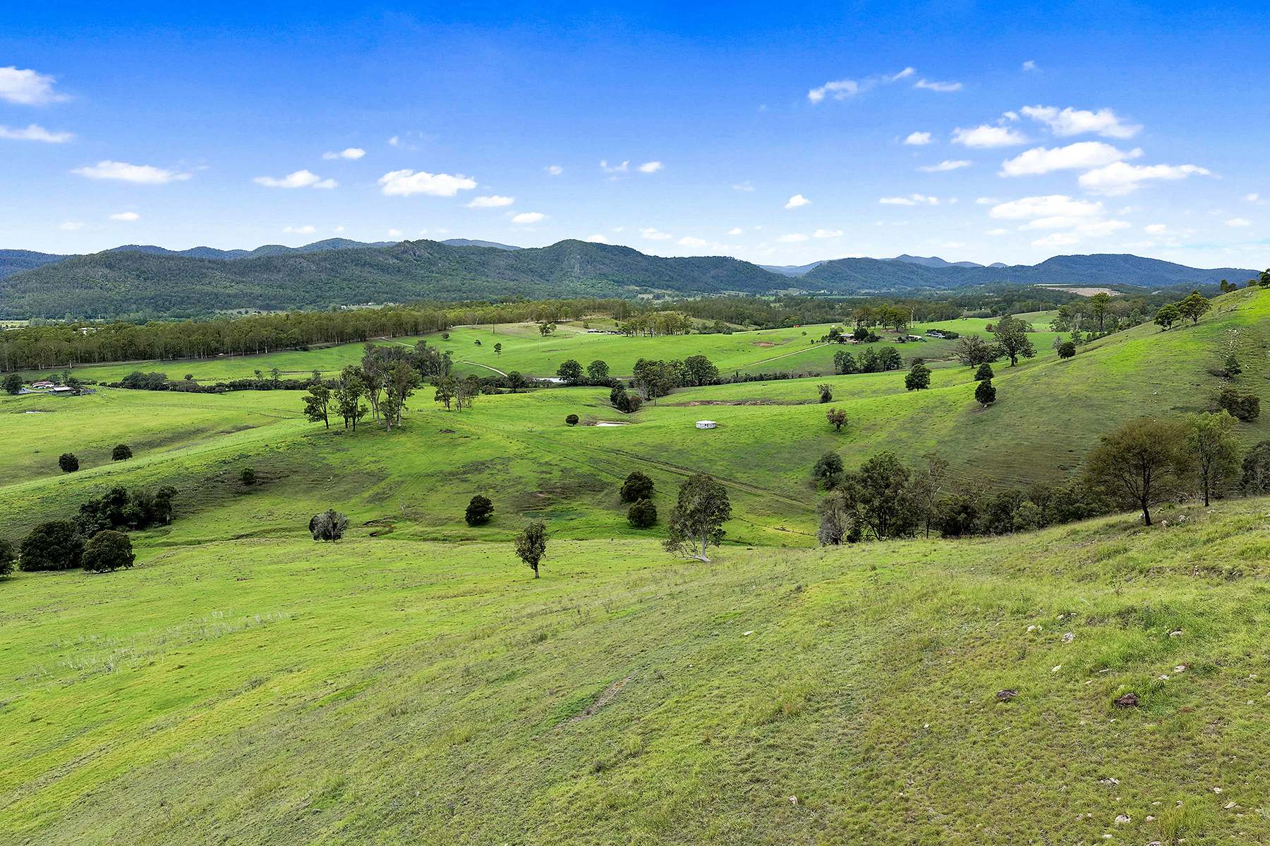 Lot 2 2135 The Bucketts Way, Wards River Sold by Farmbuy.com - image 32