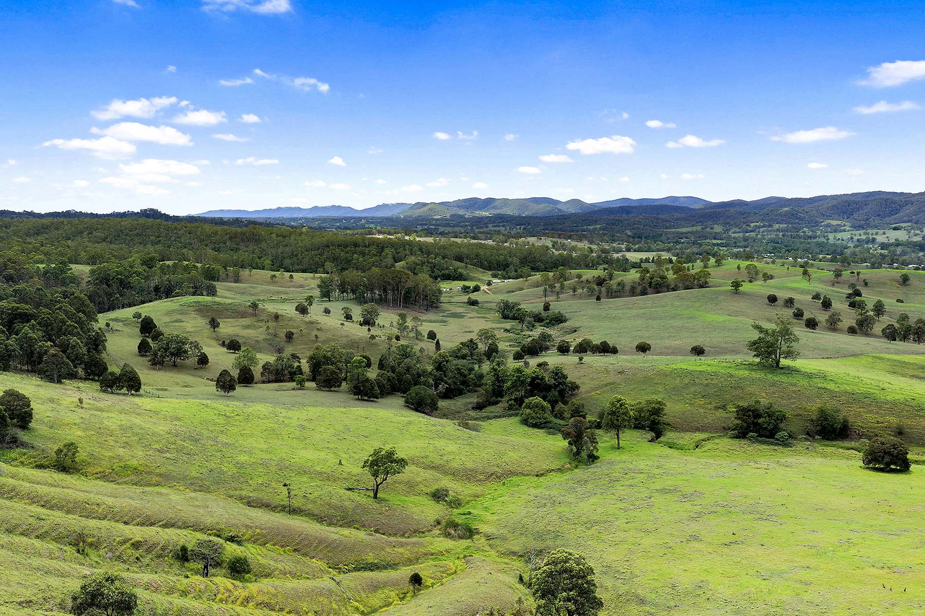 Lot 2 2135 The Bucketts Way, Wards River Sold by Farmbuy.com - image 5
