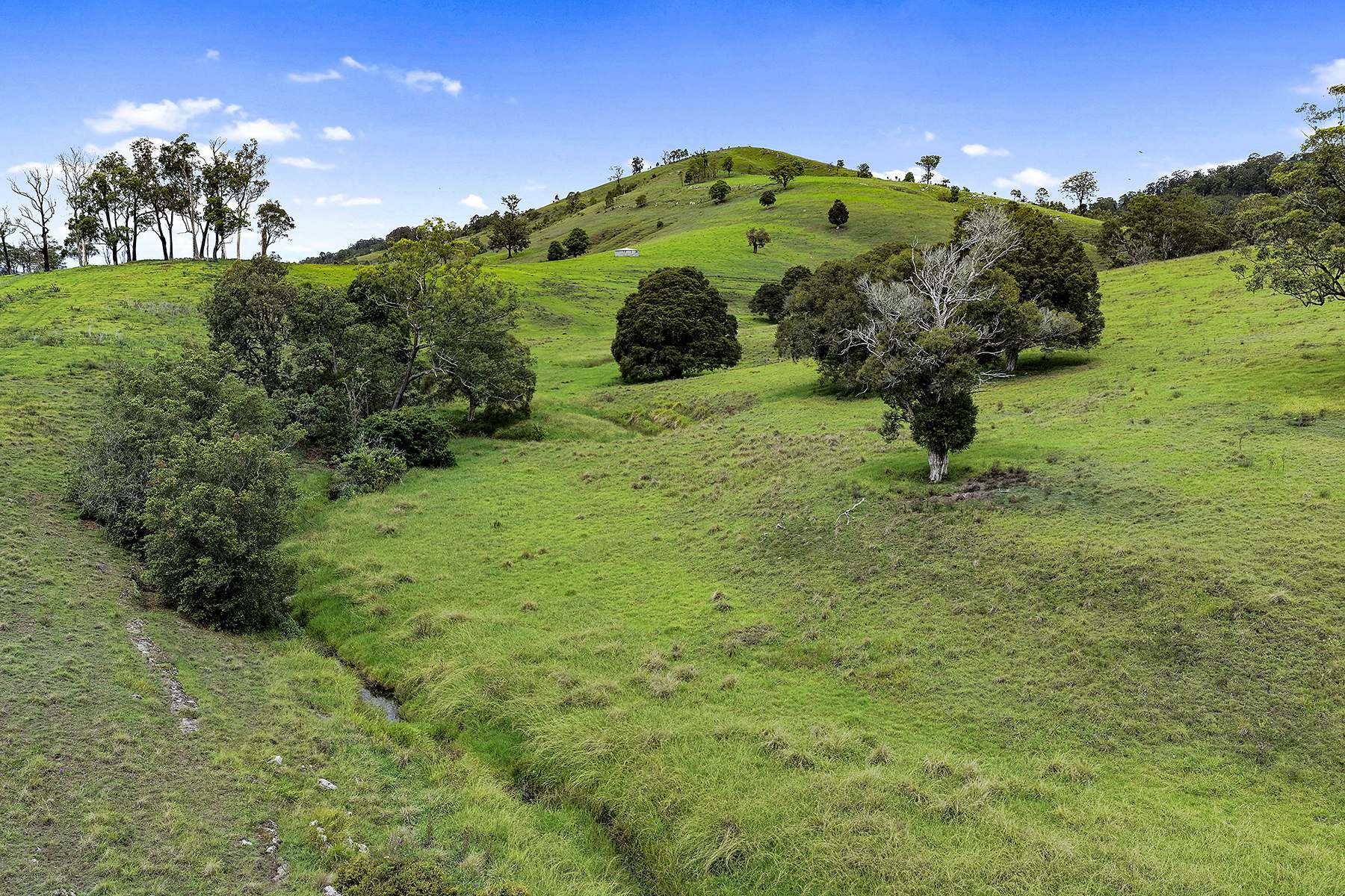Lot 2 2135 The Bucketts Way, Wards River Sold by Farmbuy.com - image 16