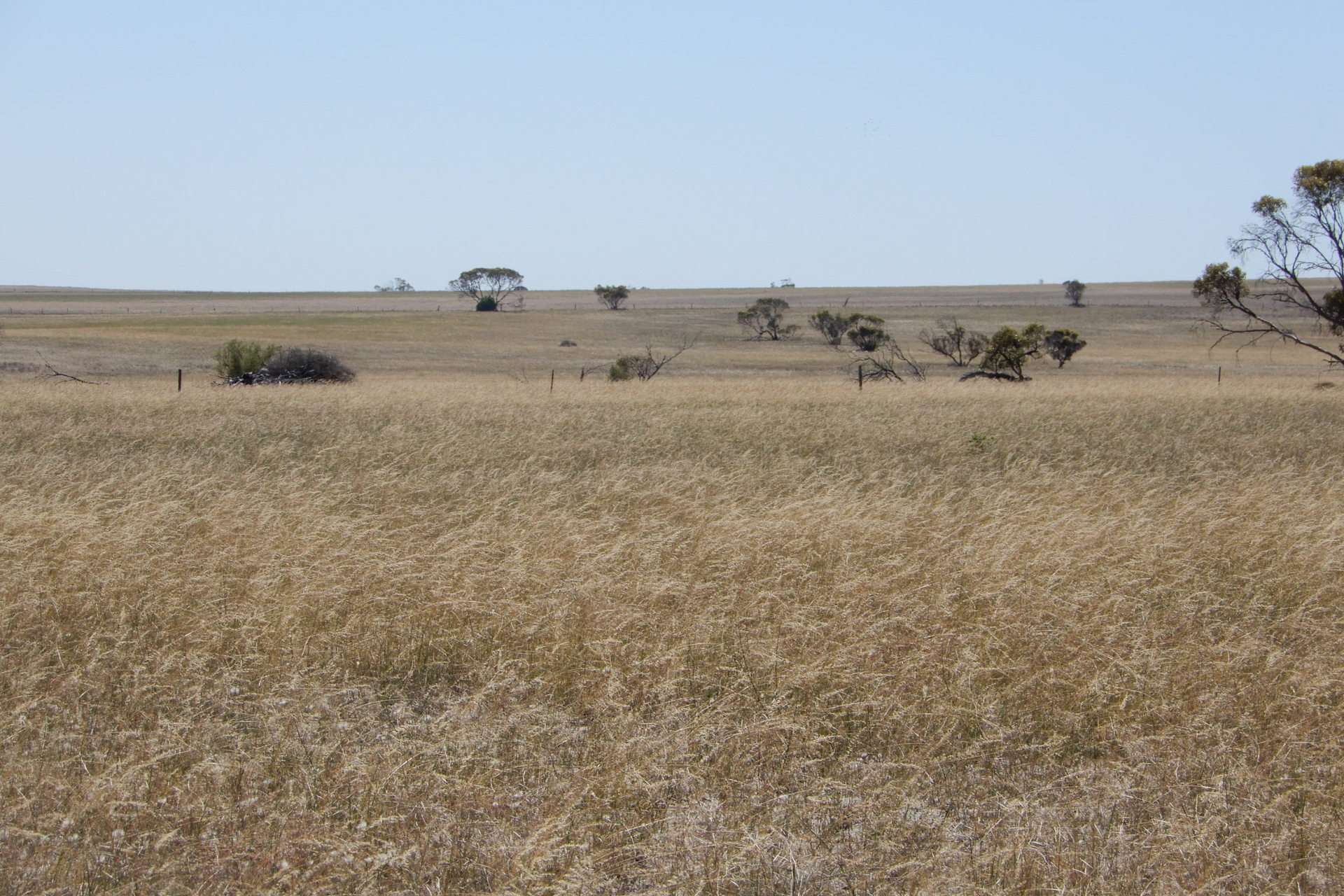LOT 2 & 3 Mountain View Road, Monarto South For Sale by Farmbuy.com - image 10