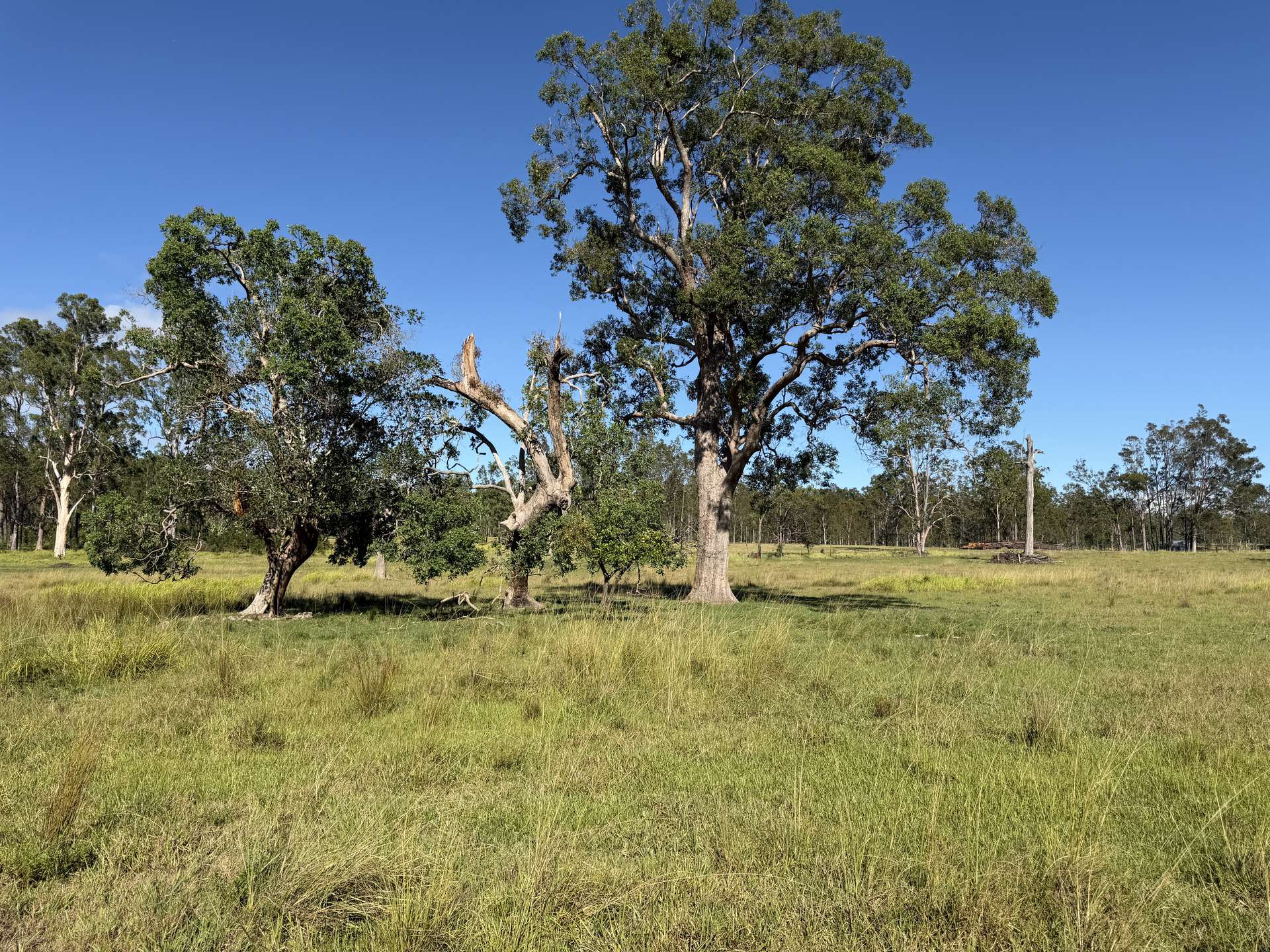 Lot 127 Smiths Creek Road, Smiths Creek Sold by Farmbuy.com - image 5