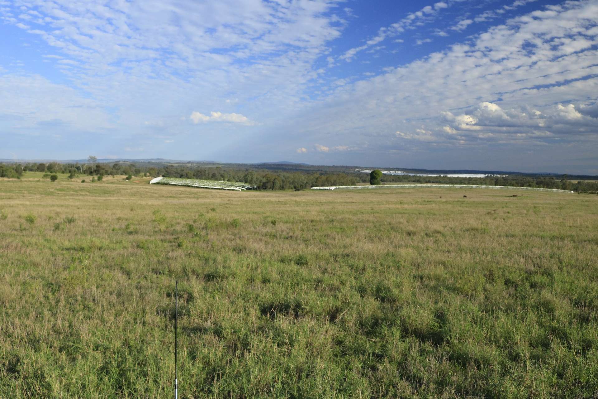 700 Coonambula Road,, Riverleigh For Sale by Farmbuy.com - image 10