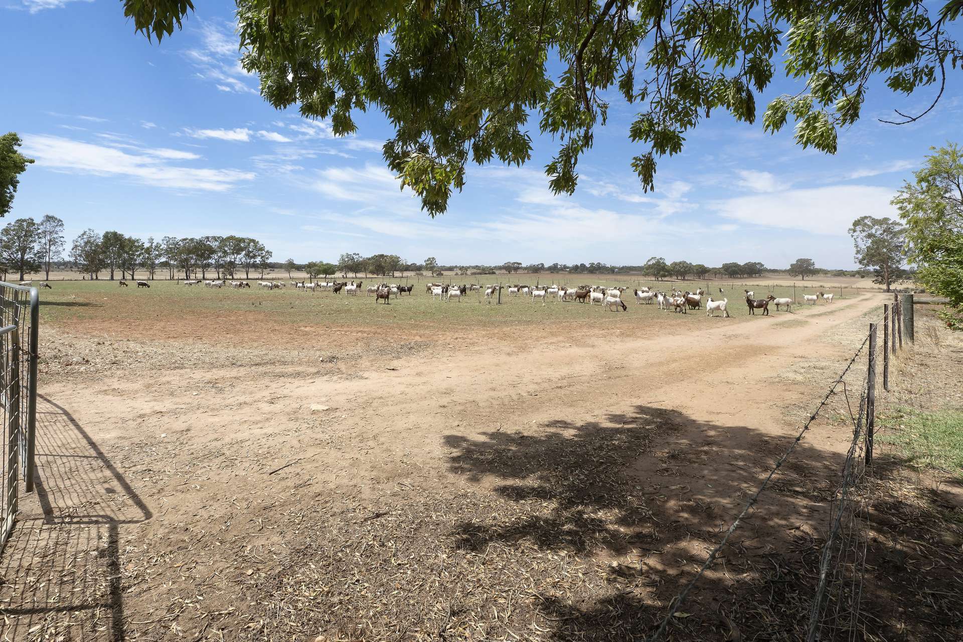 55 Steicke Road, Beverford For Sale by Farmbuy.com - image 30