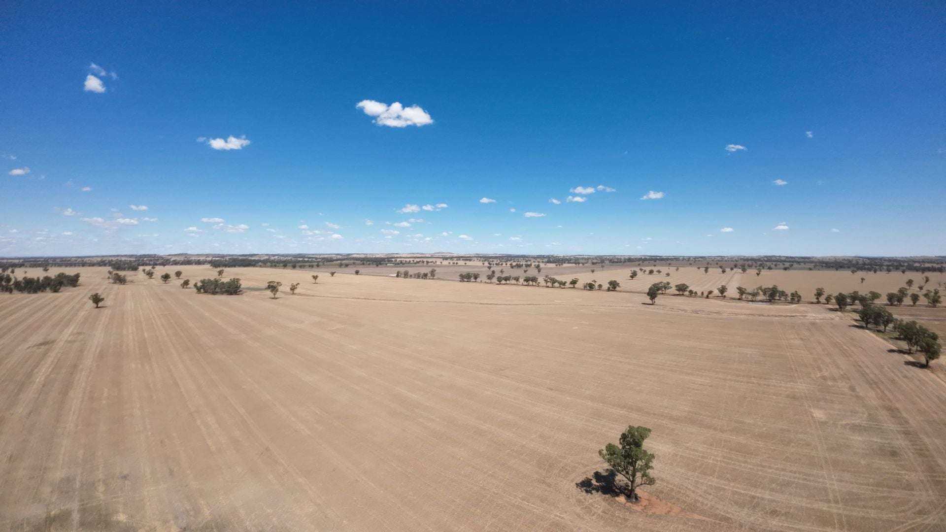 159 Noakes Road, Bribbaree For Sale by Farmbuy.com - image 7
