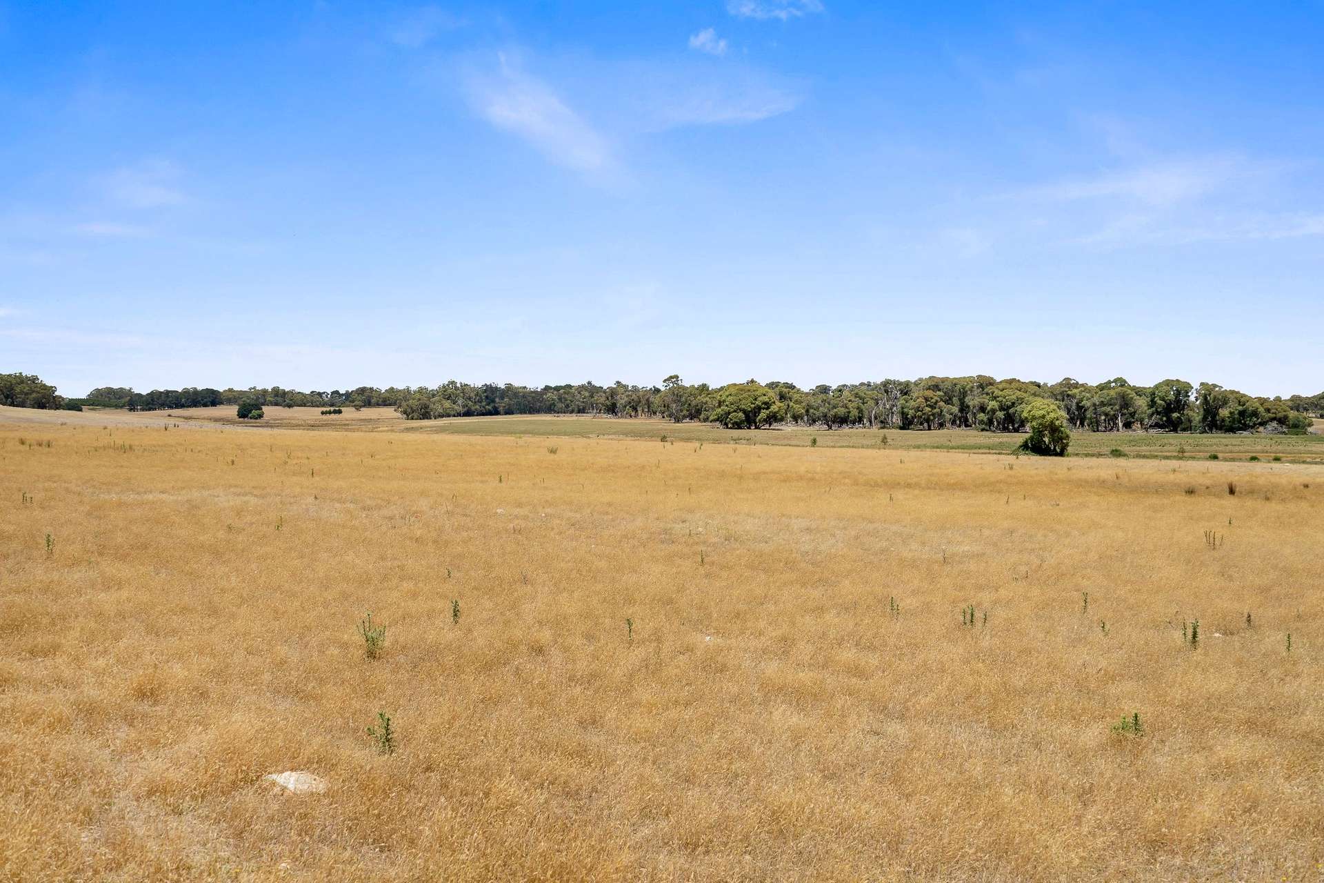 171 Boongarra Road, Laggan Via, Crookwell For Sale by Farmbuy.com - image 6
