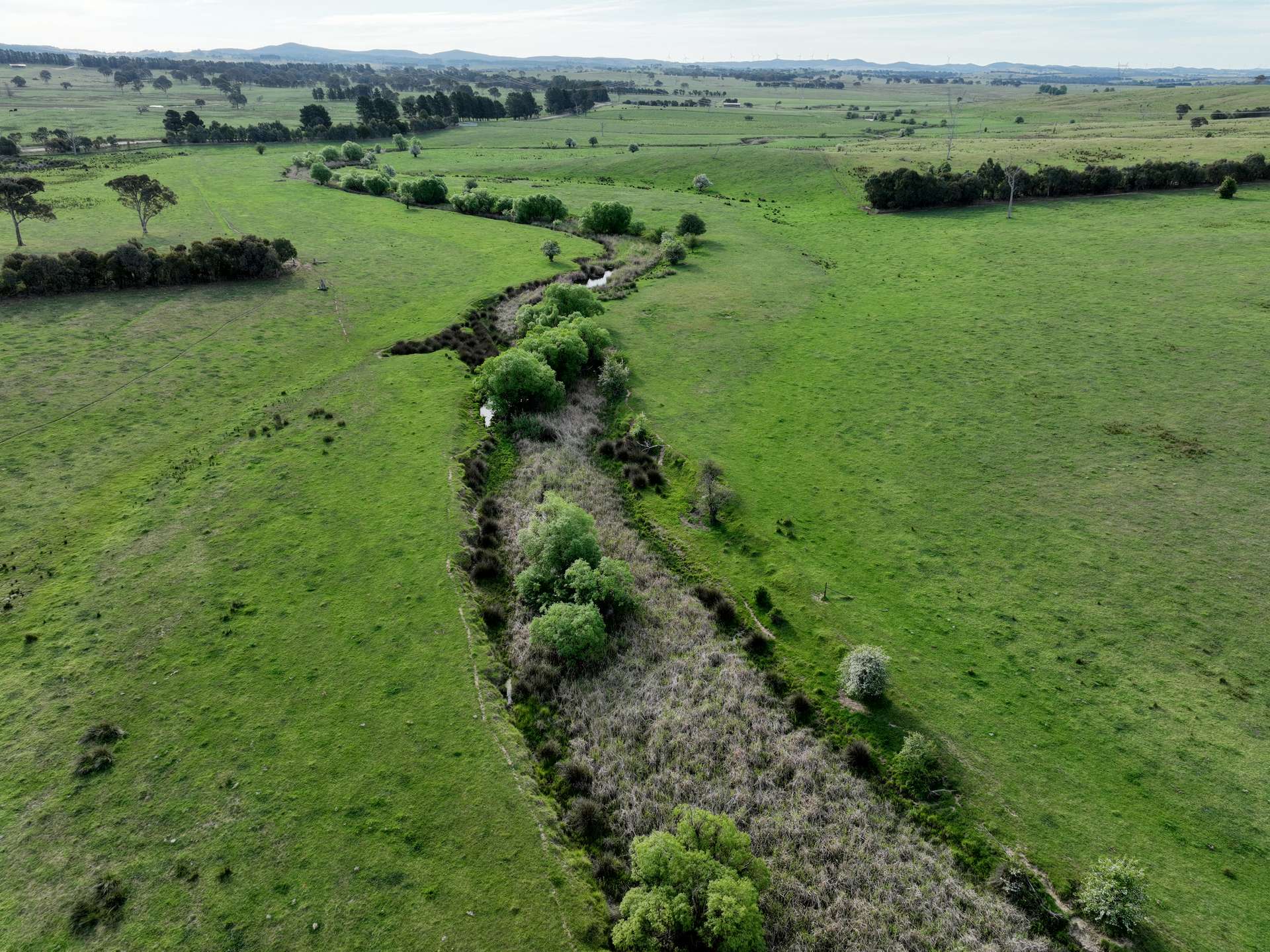 'McCrystal', Lot 3 Lade Vale Road, Gunning For Sale by Farmbuy.com - image 2