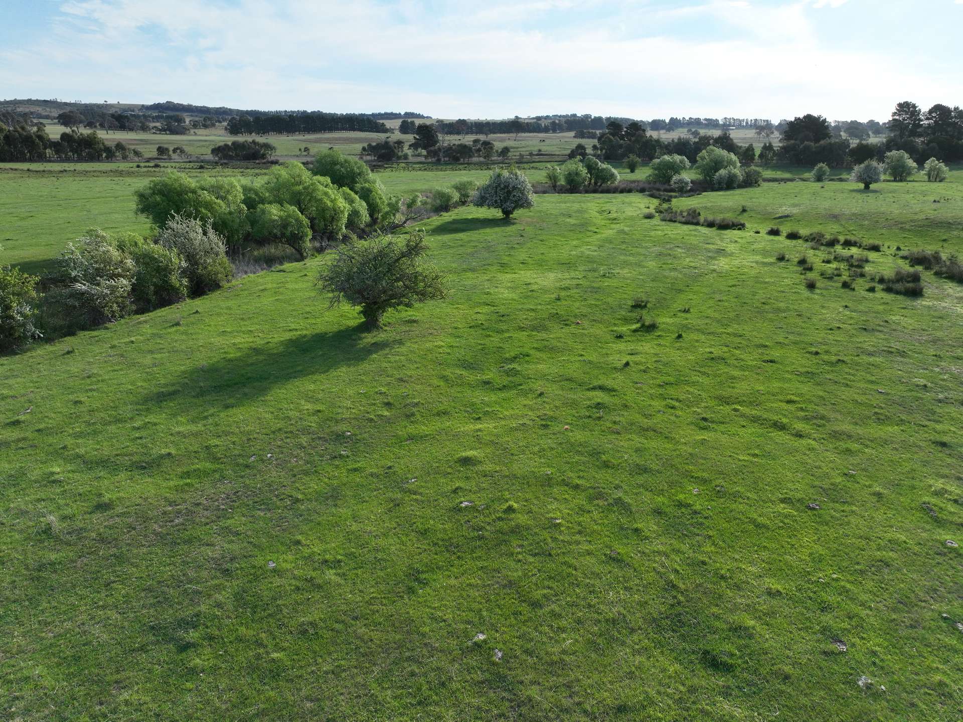 'McCrystal', Lot 3 Lade Vale Road, Gunning For Sale by Farmbuy.com - image 11