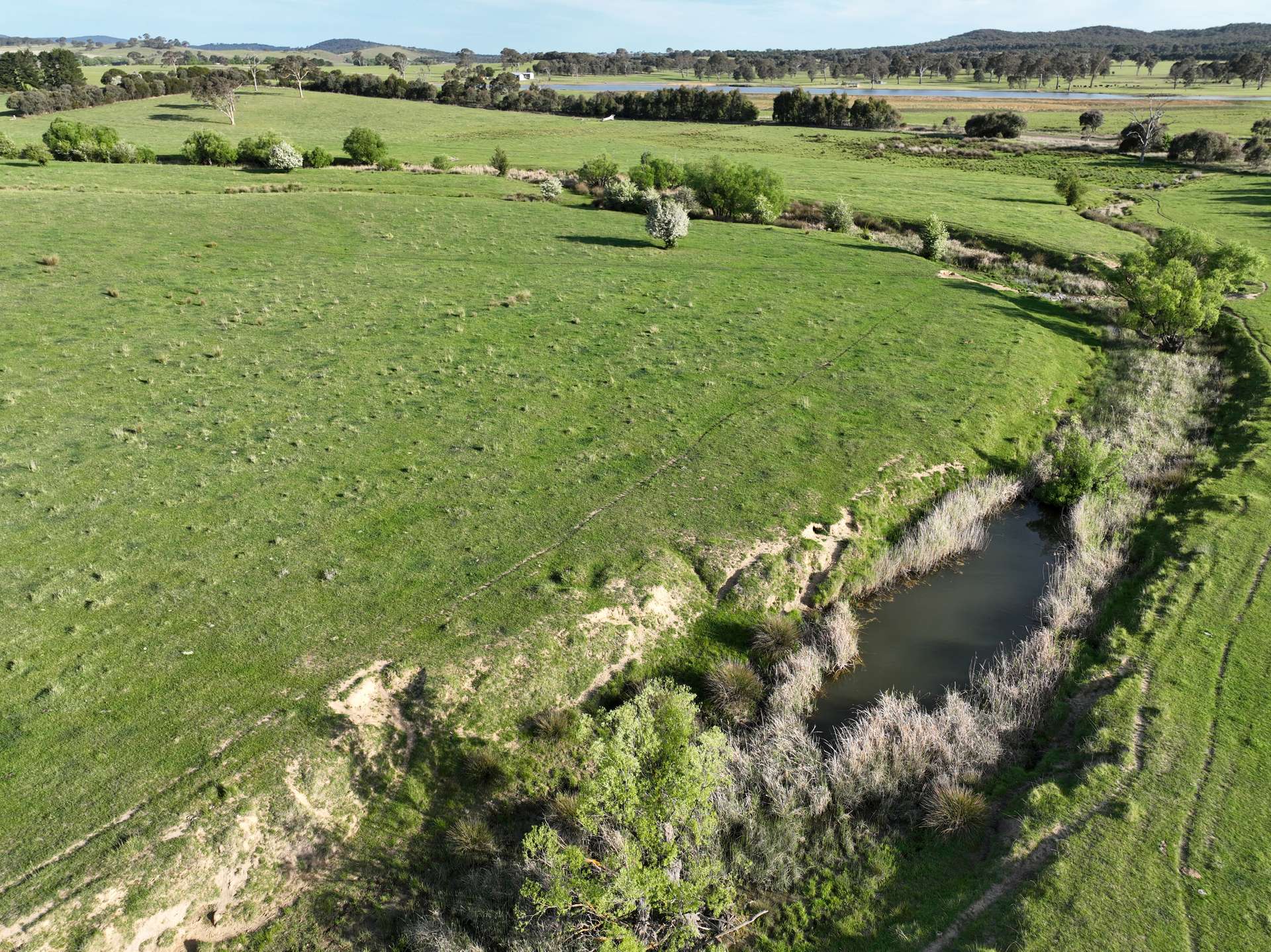 'McCrystal', Lot 3 Lade Vale Road, Gunning For Sale by Farmbuy.com - image 4