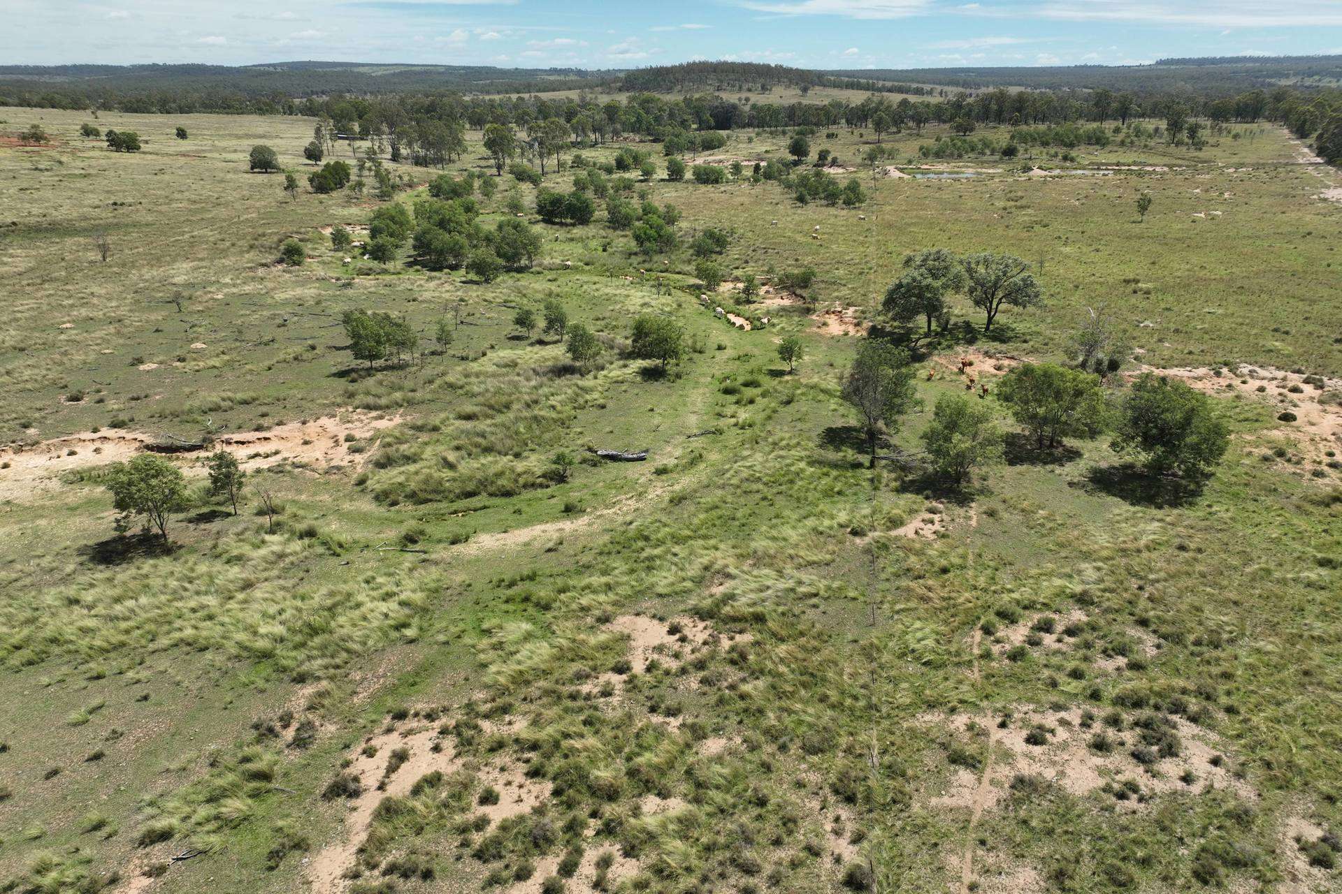 Cadarga For Sale by Farmbuy.com - image 1