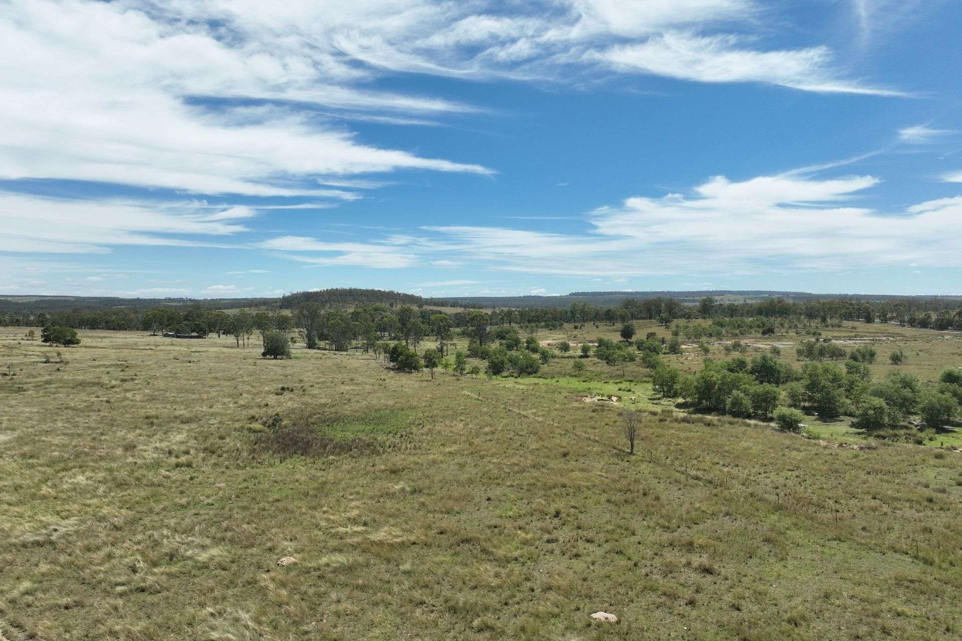Cadarga For Sale by Farmbuy.com - image 4