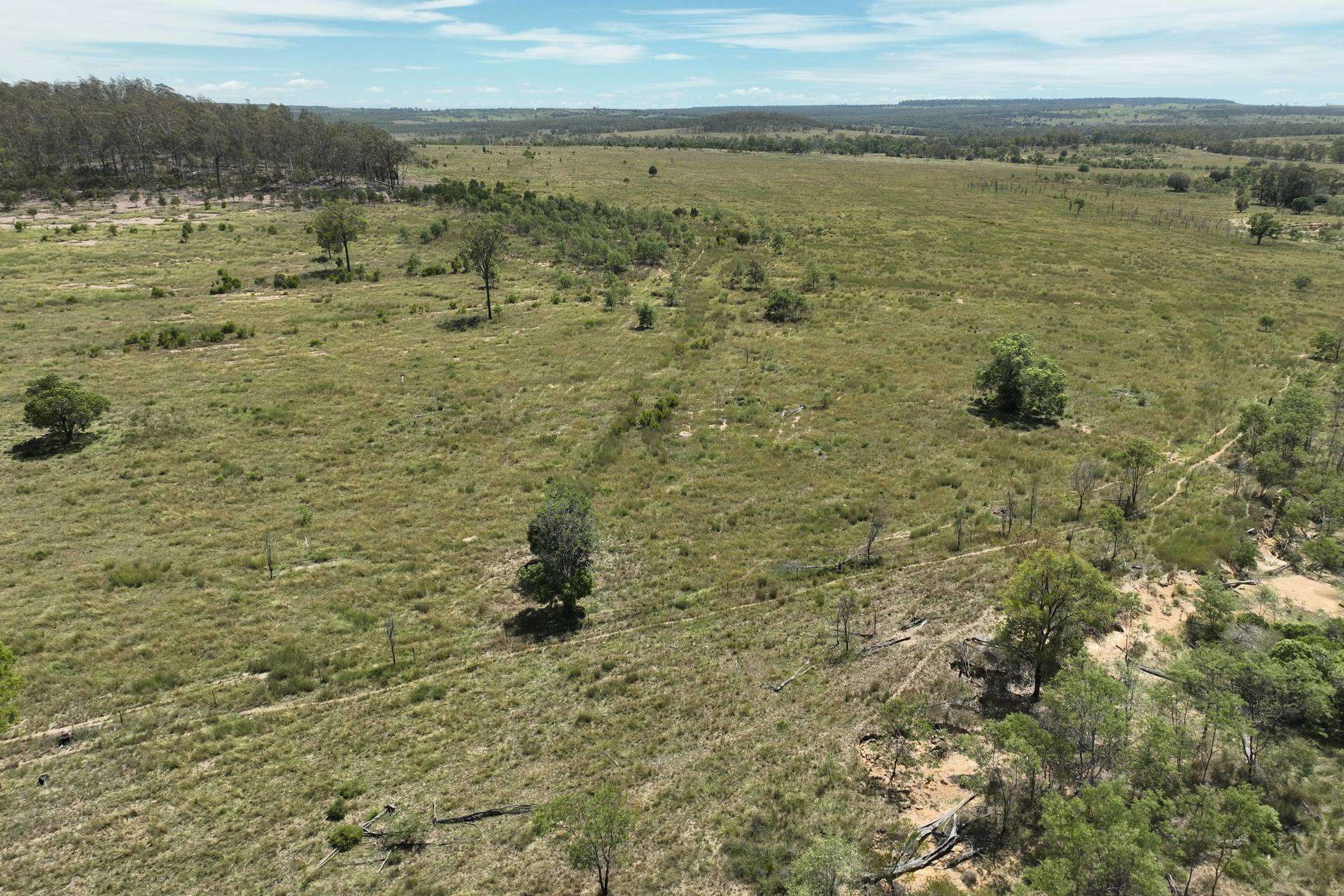 Cadarga For Sale by Farmbuy.com - image 9