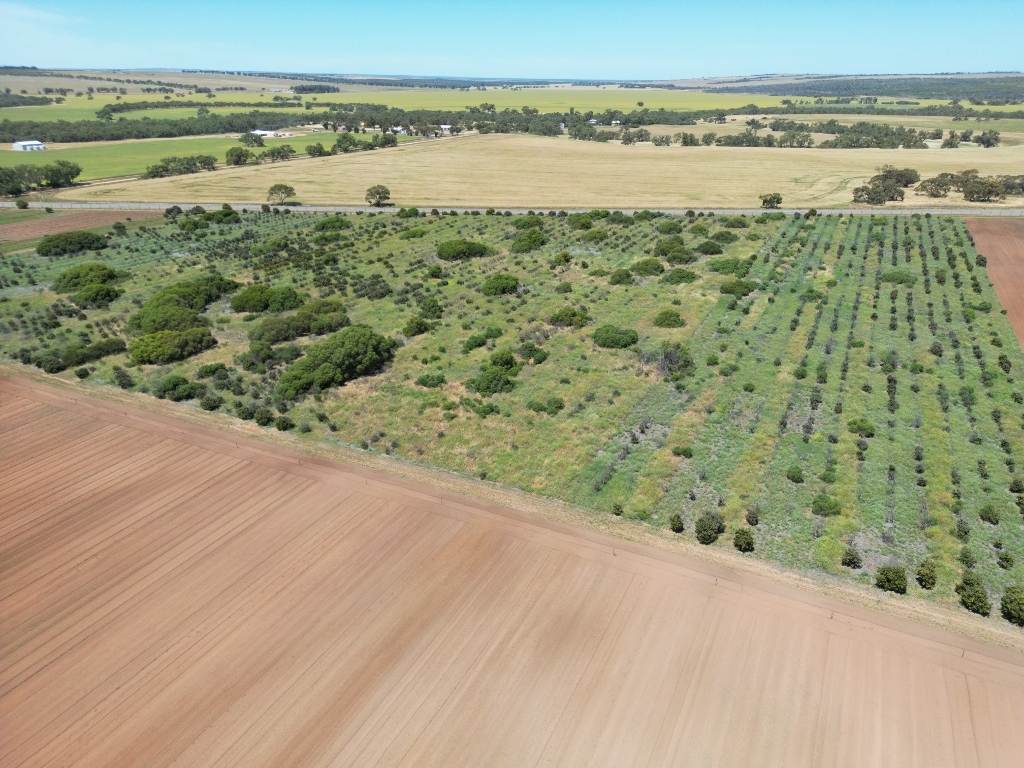 Midlands Road, Dongara Auction by Farmbuy.com - image 20