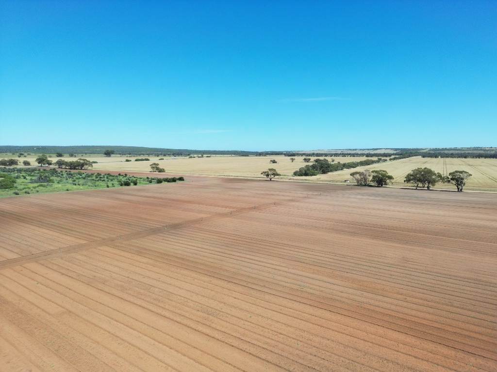 Midlands Road, Dongara Auction by Farmbuy.com - image 17