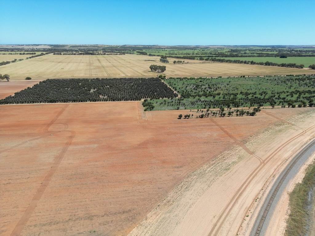 Midlands Road, Dongara Auction by Farmbuy.com - image 18