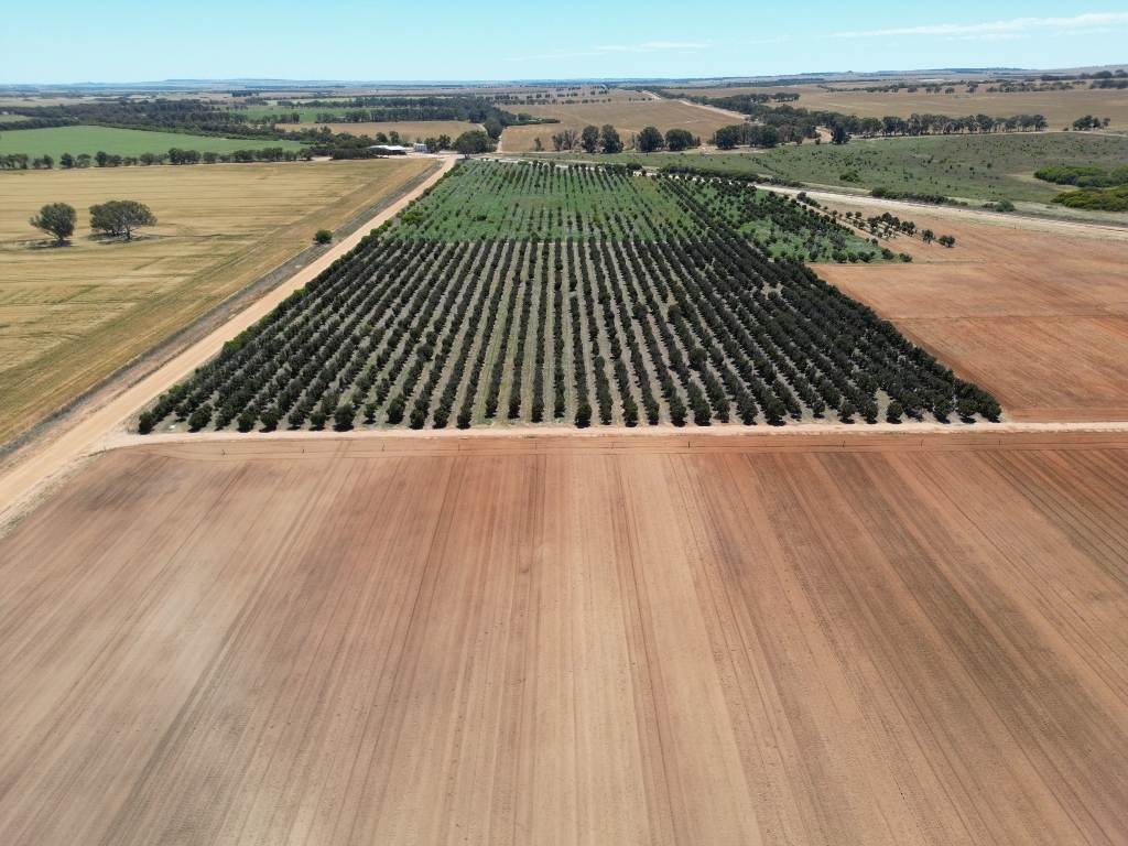 Midlands Road, Dongara Auction by Farmbuy.com - image 23