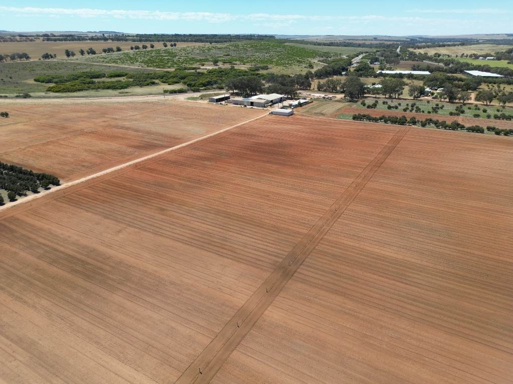 Midlands Road, Dongara Auction by Farmbuy.com - image 21