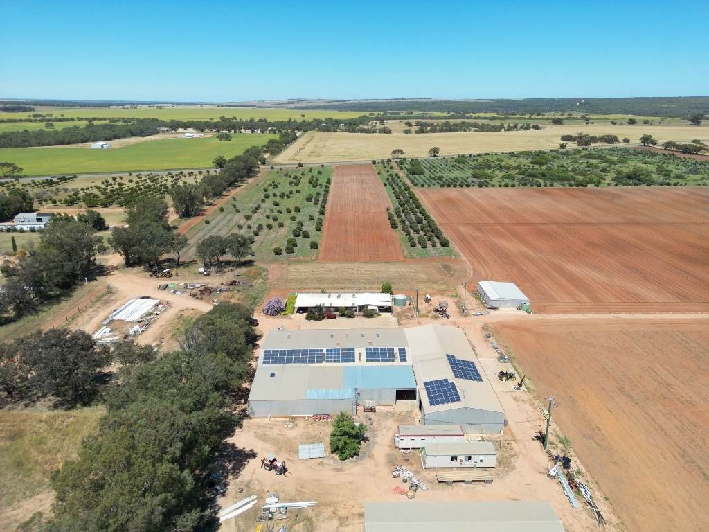 Midlands Road, Dongara Auction by Farmbuy.com - image 19