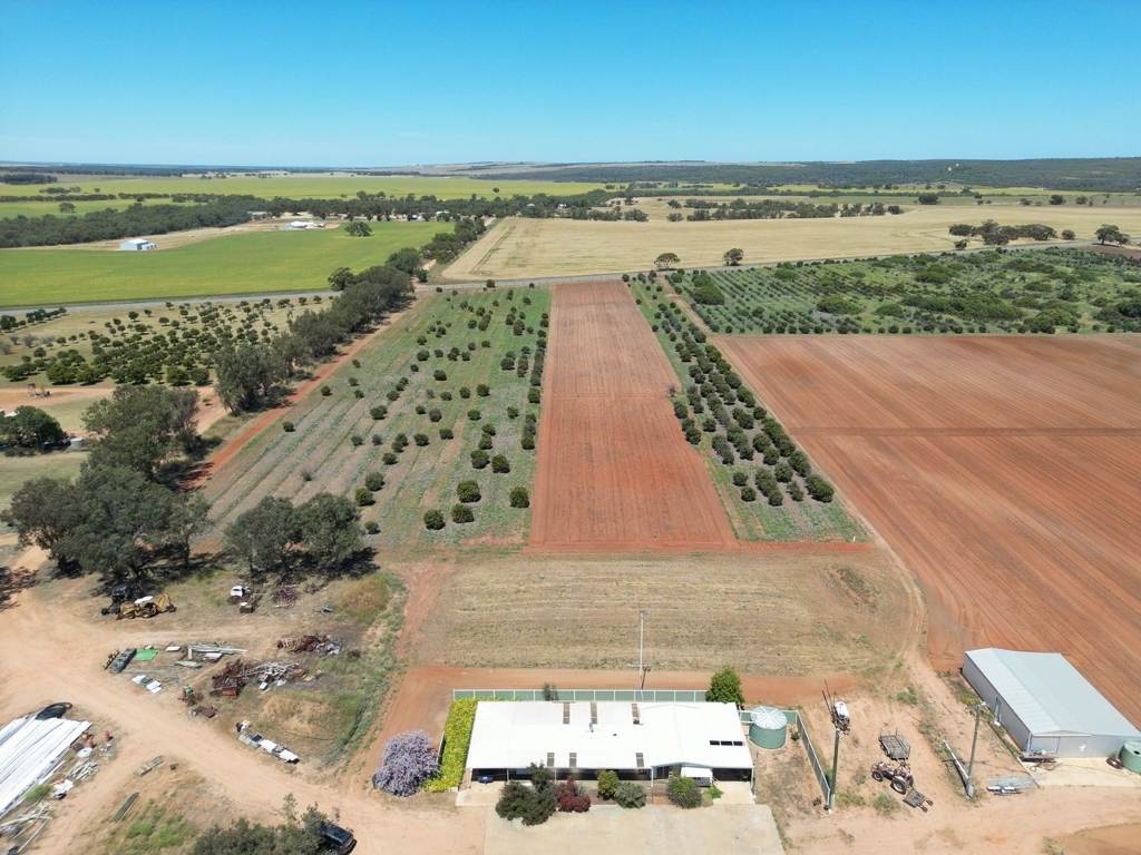Midlands Road, Dongara Auction by Farmbuy.com - image 22