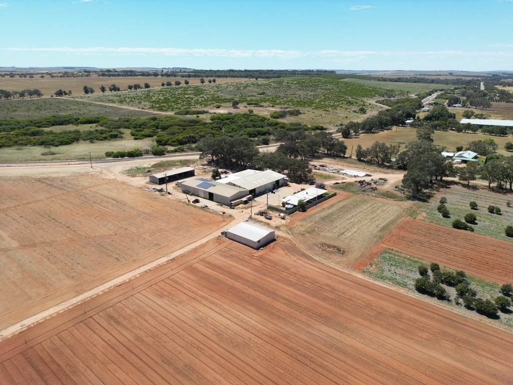 Midlands Road, Dongara Auction by Farmbuy.com - image 24