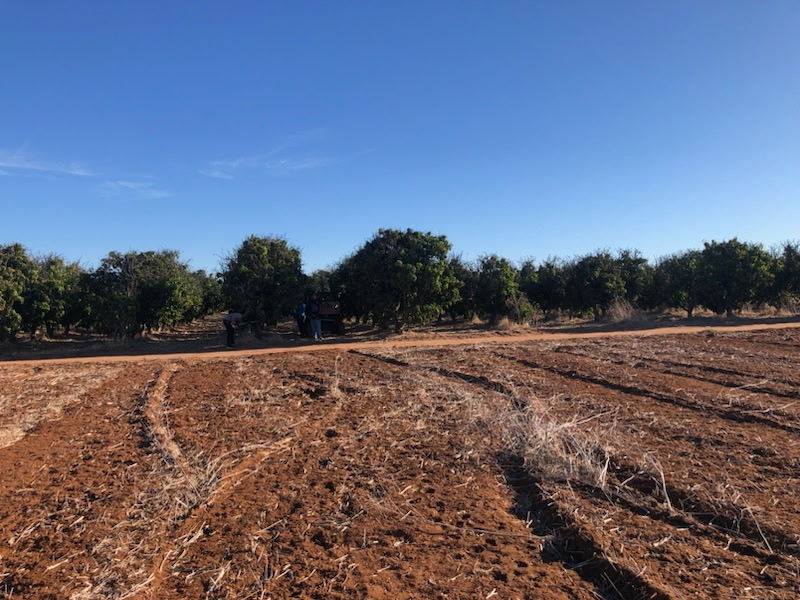 Midlands Road, Dongara WA 6525