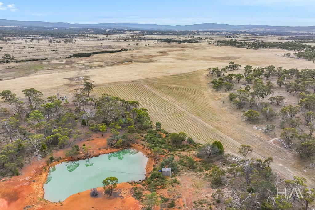 46 Crossins Road, Swansea TAS 7190