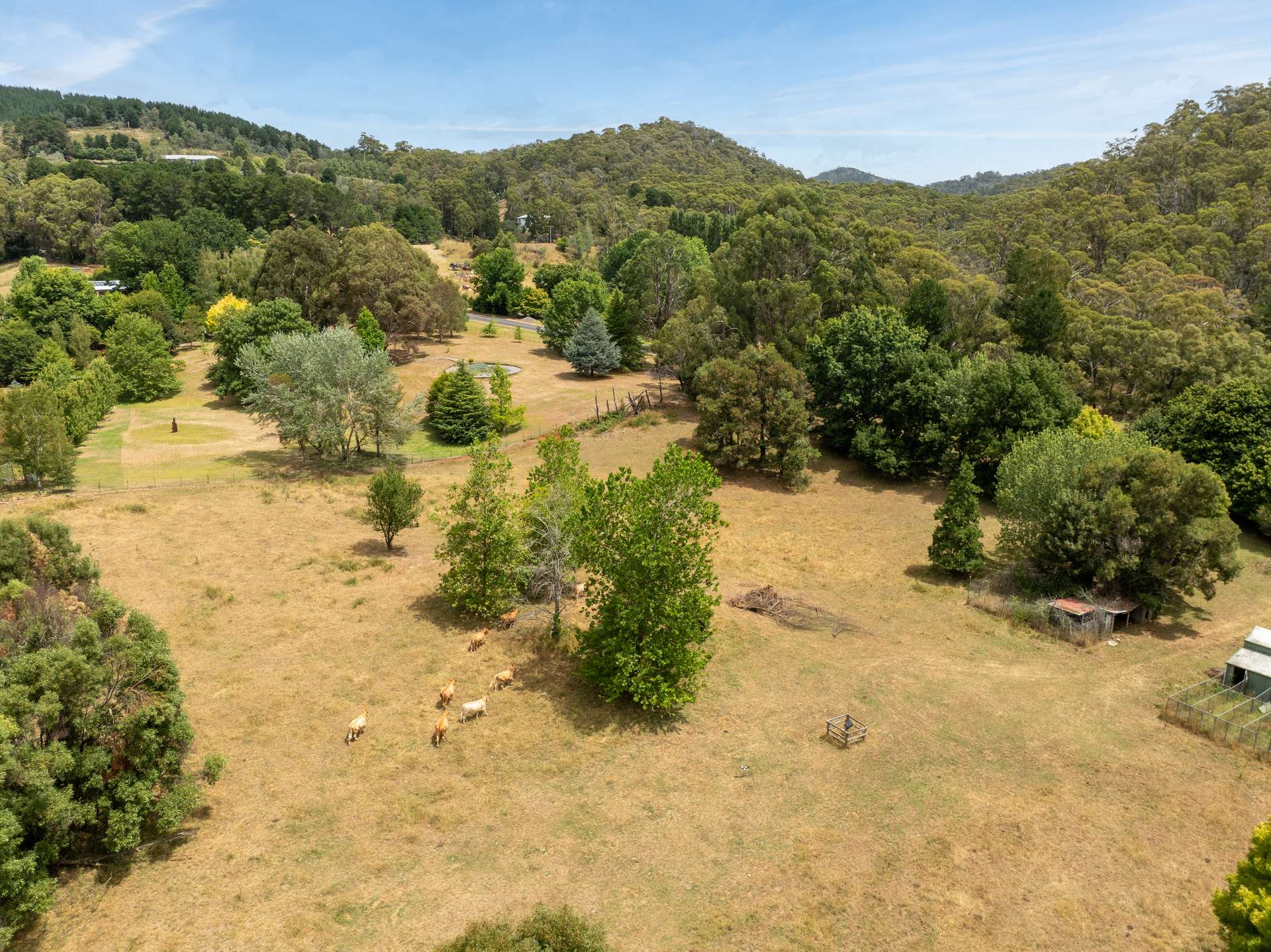 999 Lake Canobolas Road, Orange Sold by Farmbuy.com - image 5