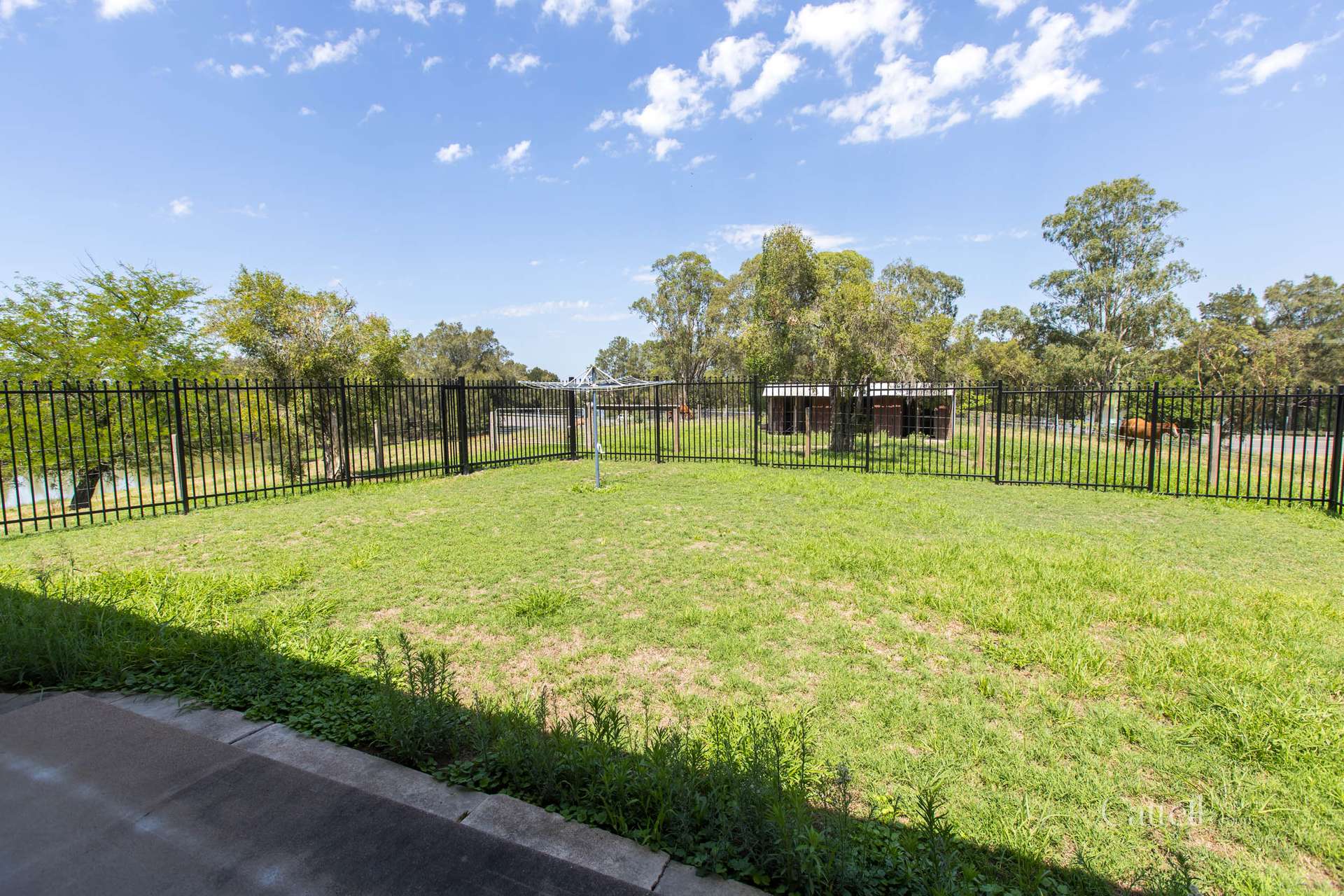 64 Bonar Street, Maitland Sold by Farmbuy.com - image 10