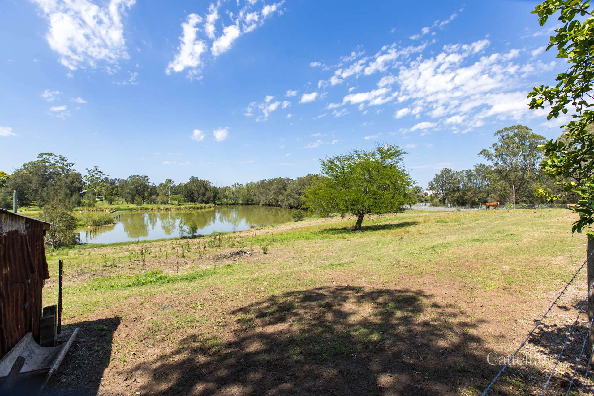 64 Bonar Street, Maitland Sold by Farmbuy.com - image 34