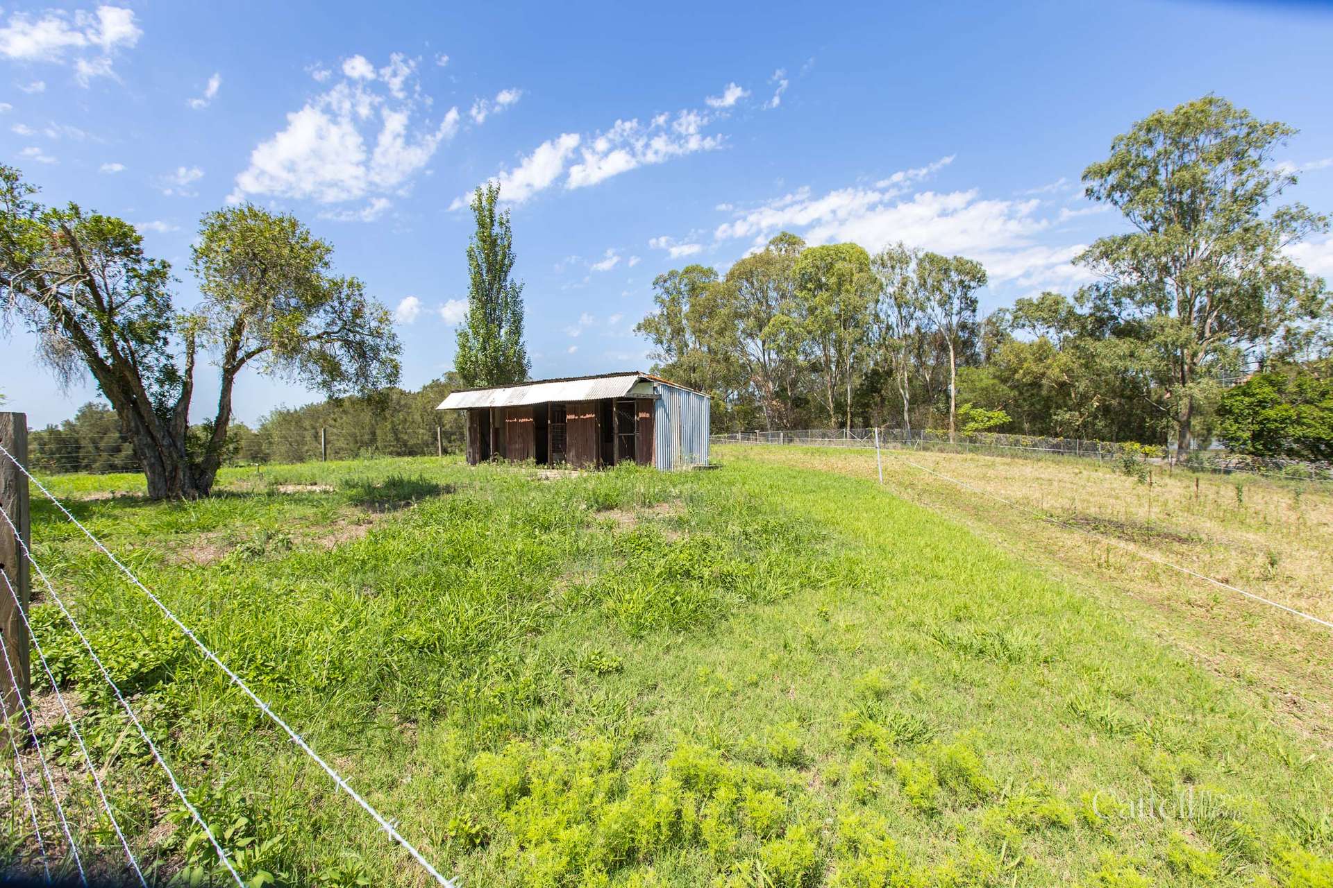 64 Bonar Street, Maitland Sold by Farmbuy.com - image 19
