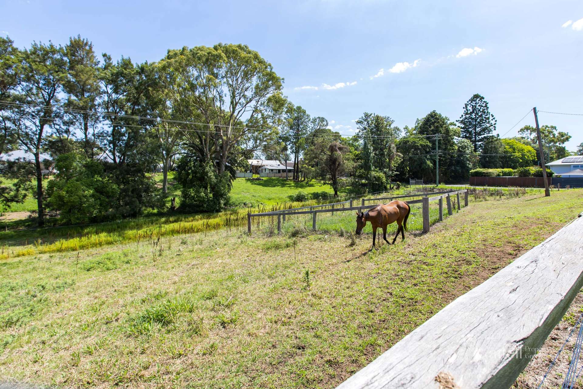 64 Bonar Street, Maitland Sold by Farmbuy.com - image 3