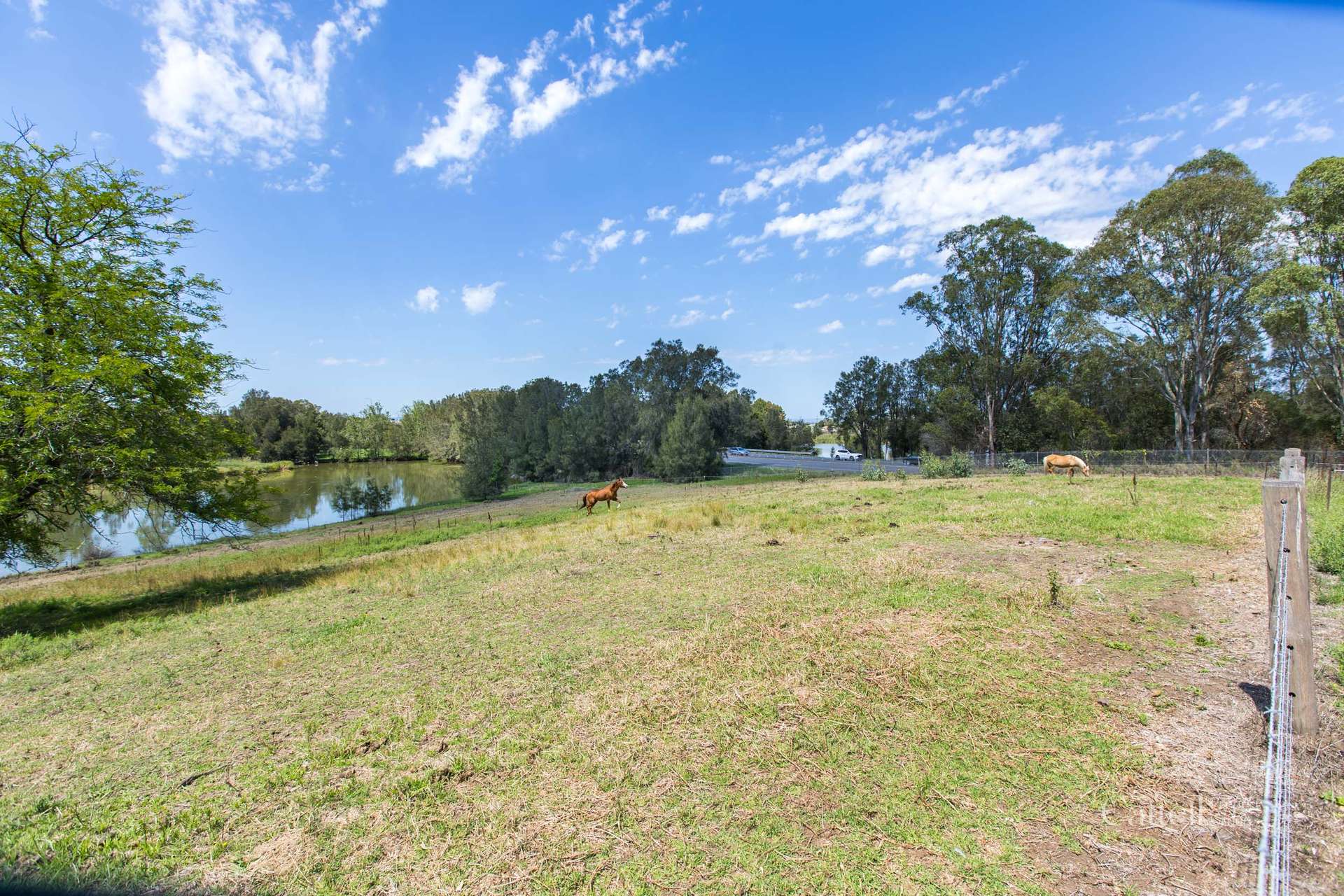 64 Bonar Street, Maitland Sold by Farmbuy.com - image 25