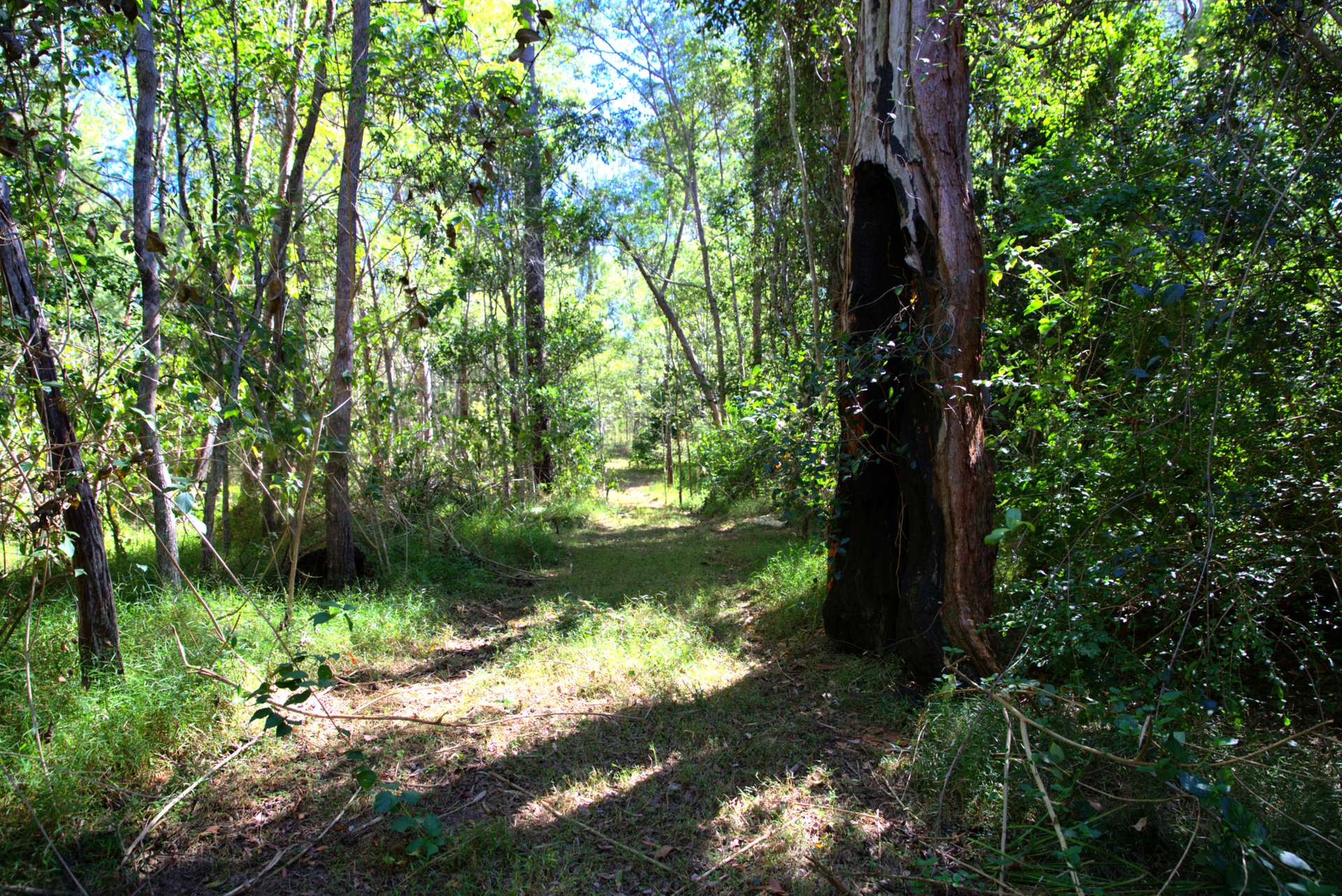 49 Arborfourteen Road, Glenwood For Sale by Farmbuy.com - image 21
